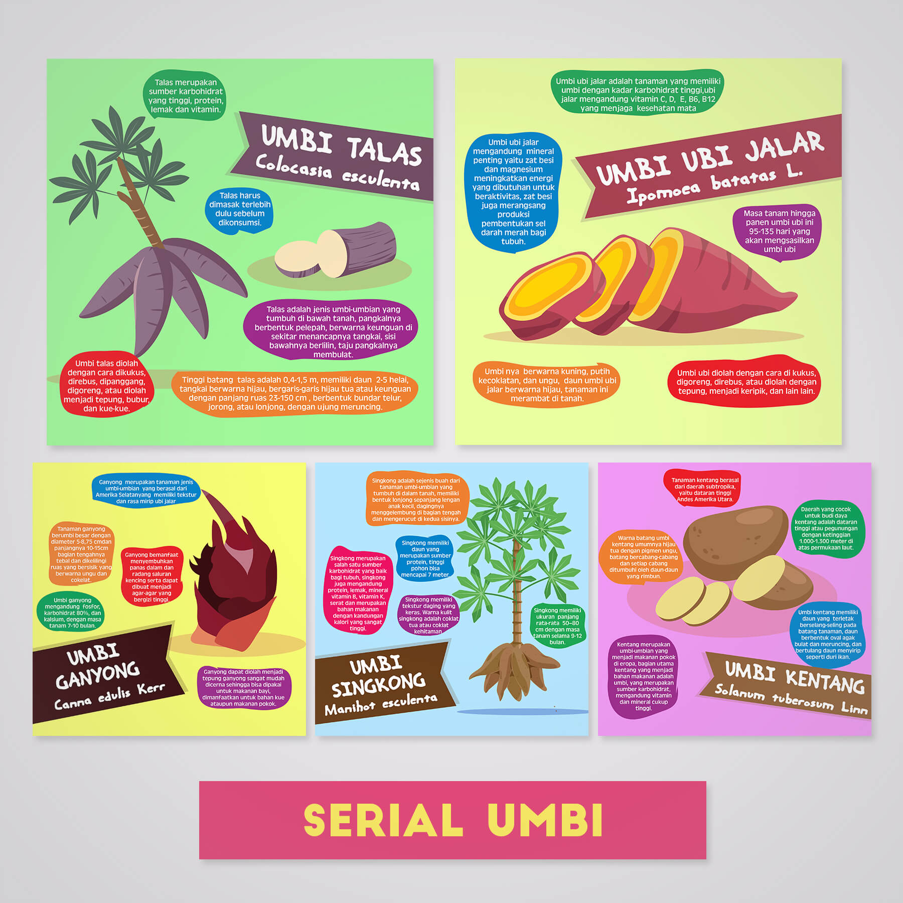 Desain Prita - Infografis serial umbi